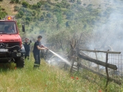 Φωτιά έκαψε ελαιώνα στον Τύρναβο