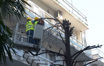 «Αποστολές» κλαδέματος στην πόλη