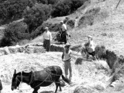 Το καλοκαίρι στ’ αλώνια του χωριού…