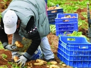 Λίγες ακόμα ημέρες για μετακλητούς εργάτες γης