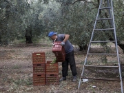 «Νέα Γεωργία για τη Νέα Γενιά»