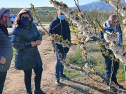 «Μονόδρομος ένα ειδικό  πρόγραμμα για τους  παγετόπληκτους παραγωγούς»