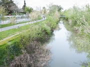 Συνέλευση συλλόγου Φίλων του Πηνειού