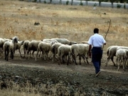 Παίρνουν σειρά οι κτηνοτρόφοι στο συλλαλητήριο