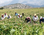 Χρ. Κέλλας: Να διατεθούν επιπλέον κονδύλια για χρηματοδότηση όλων των επιλέξιμων αιτήσεων νέω αγροτών