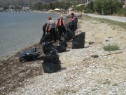 Καθαρισμός από Πευκάκια έως Άγιο Στέφανο