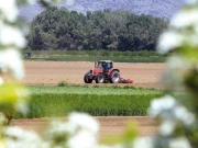 Πληρώθηκαν οι αγροτικές επιδοτήσεις