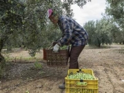 Ηλικιωμένοι με ελλιπή κατάρτιση οι αγρότες