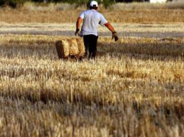 Στα τέλη Νοεμβρίου το 70% της ενιαίας ενίσχυσης στους αγρότες