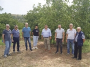 Αυτοψία σε χαλαζόπληκτες καλλιέργειες