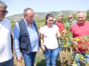 Τεράστια η καταστροφή στο Δαμάσι από τη χαλαζόπτωση