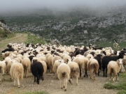 Ζεστό χρήμα στον αγροτικό- επιχειρηματικό τομέα