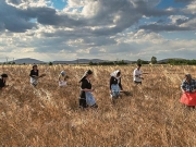 «Ο θερισμός μέσα από τη ματιά του σύγχρονου καλλιτέχνη»