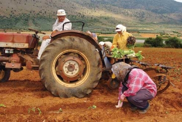 Πότε θα πρέπει να τηρούν στοιχεία οι αγρότες