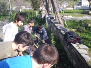 Δενδροφύτευση στο 1ο Δημοτικό Σχολείο Αρτέμιδας Άνω Λεχωνίων