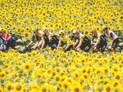 Ταχύρυθμα μαθήματα του ποδηλατικού λεξικού