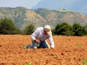 Φθηνότερη η εξαγορά πλασματικών για αγρότες