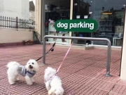 Dog parking