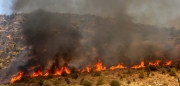 Φλόγες σε Ευαγγελισμό, Δομένικο, Αγιονέρι, Αραδοσίβια