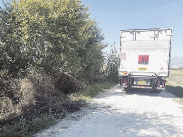 Νεκρά πρόβατα πεταμένα σε χαντάκι στον Αμπελώνα