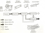 Μηχανική συγκομιδή σιτηρών και απώλειες σπόρου